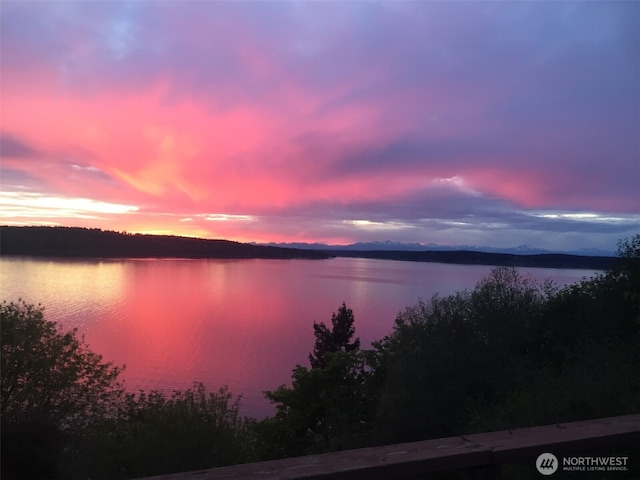 10806 W Morris Blvd, Steilacoom, WA 98388 - water view