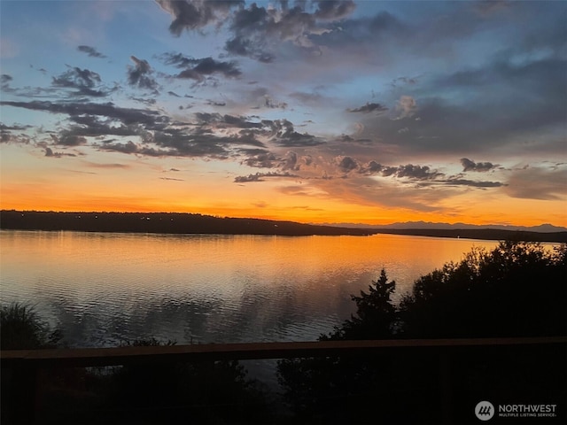 10806 W Morris Blvd, Steilacoom, WA 98388 - water view