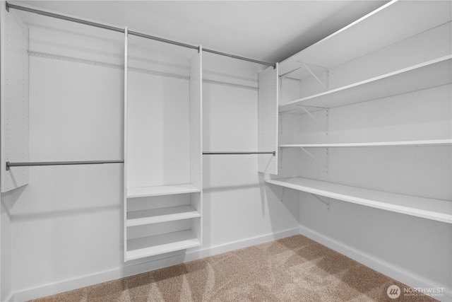 12712 NE 157th St, Woodinville, WA 98072 - spacious closet with carpet