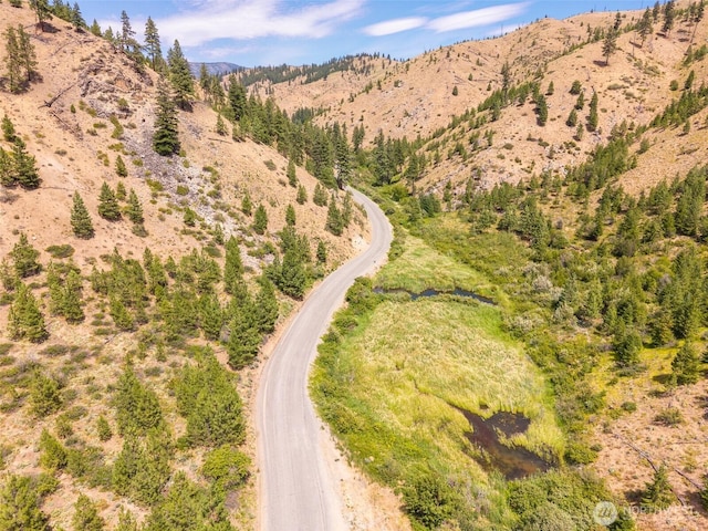 2LOT Mud Creek Rd, Entiat, WA 98822 - photo 5