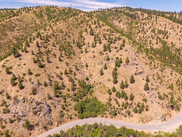 2LOT Mud Creek Rd, Entiat, WA 98822 - photo 9