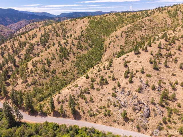 2LOT Mud Creek Rd, Entiat, WA 98822 - photo 10