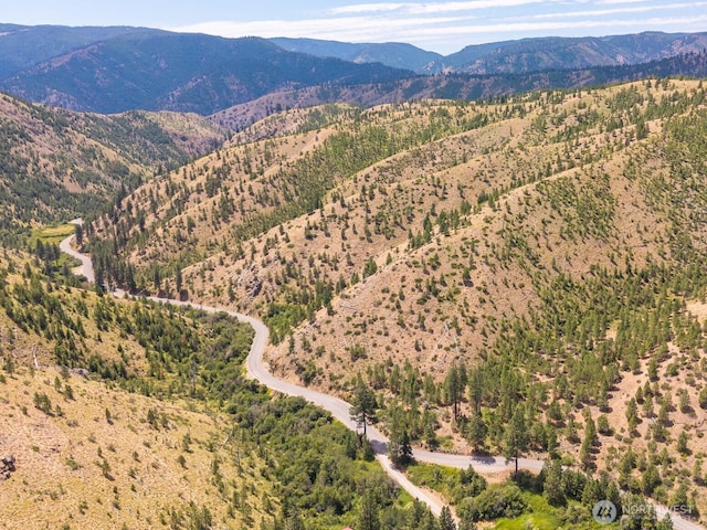 2LOT Mud Creek Rd, Entiat, WA 98822 - photo 14