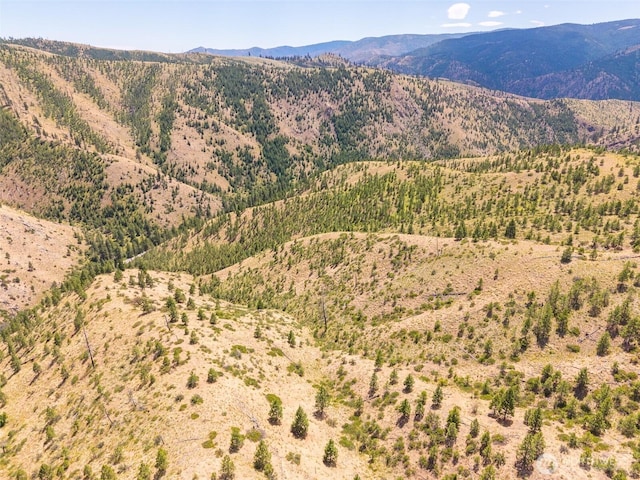 2LOT Mud Creek Rd, Entiat, WA 98822 - photo 16