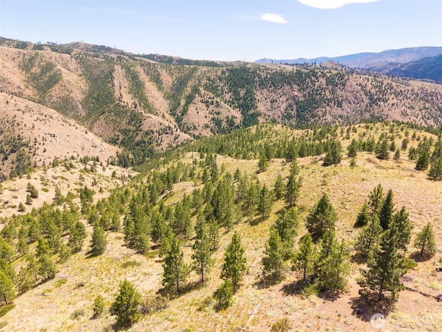 2LOT Mud Creek Rd, Entiat, WA 98822 - photo 18