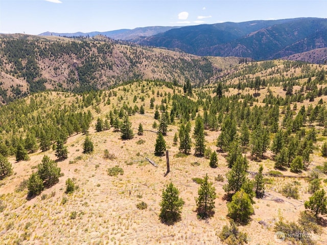 2LOT Mud Creek Rd, Entiat, WA 98822 - photo 19