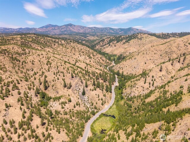 2LOT Mud Creek Rd, Entiat, WA 98822 - photo 26