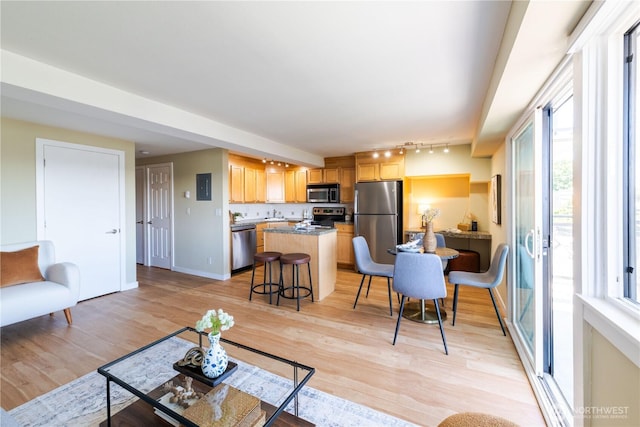 1525 Taylor Ave N Unit 505, Seattle, WA 98109 - living room featuring healthy amount of natural light, light wood finished floors, and rail lighting