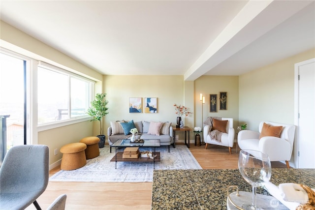 1525 Taylor Ave N Unit 505, Seattle, WA 98109 - living room featuring light wood-style flooring and baseboards