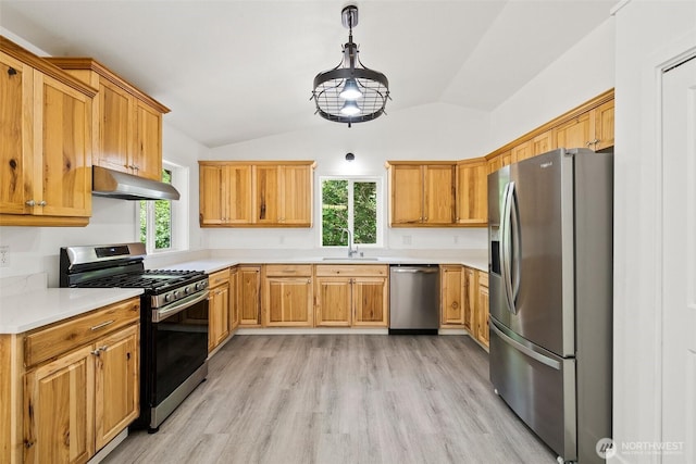 14115 Mountain Vista Dr SE, Yelm, WA 98597 - kitchen featuring appliances with stainless steel finishes, under cabinet range hood, light wood finished floors, lofted ceiling, and light countertops