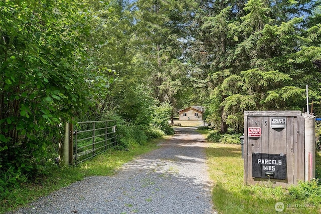 14115 Mountain Vista Dr SE, Yelm, WA 98597 - view of dirt / gravel driveway