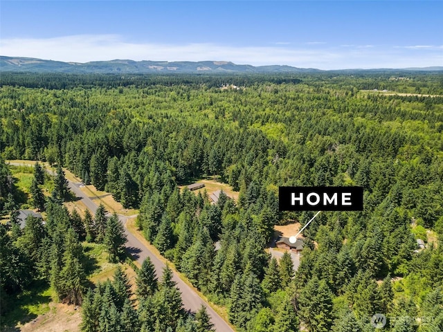 14115 Mountain Vista Dr SE, Yelm, WA 98597 - aerial view of a heavily wooded area and mountains