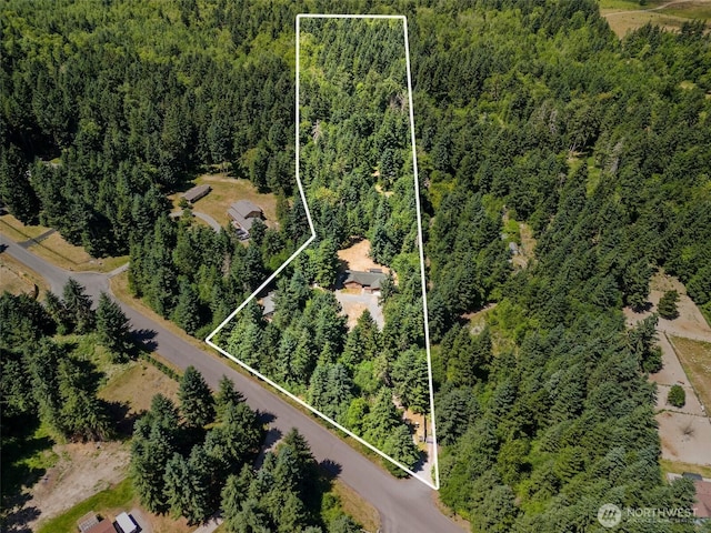 14115 Mountain Vista Dr SE, Yelm, WA 98597 - aerial view of property's location with property parcel outlined