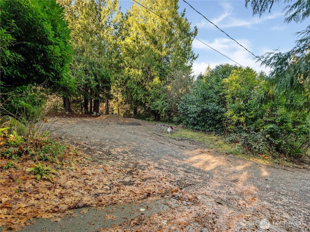 1843 Kitsap Lake Rd NW, Bremerton, WA 98312 - photo 6