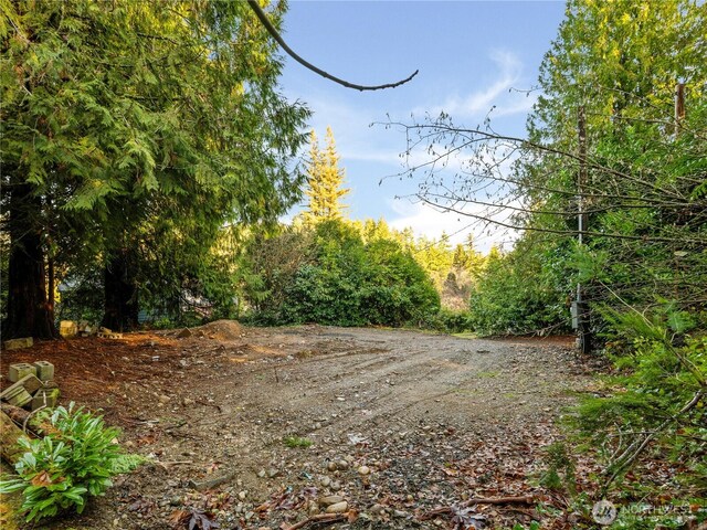 1843 Kitsap Lake Rd NW, Bremerton, WA 98312 - photo 9