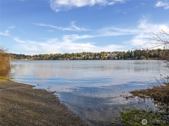 1843 Kitsap Lake Rd NW, Bremerton, WA 98312 - photo 14
