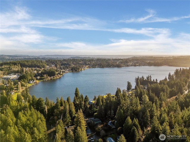 1843 Kitsap Lake Rd NW, Bremerton, WA 98312 - photo 15
