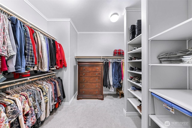 2620 Birch St, Bellingham, WA 98226 - spacious closet with carpet