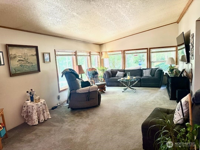 5353 Wildlife Acres Ln, Sedro Woolley, WA 98284 - photo 2