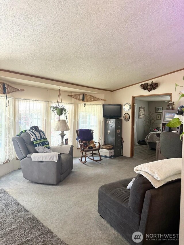 5353 Wildlife Acres Ln, Sedro Woolley, WA 98284 - photo 6