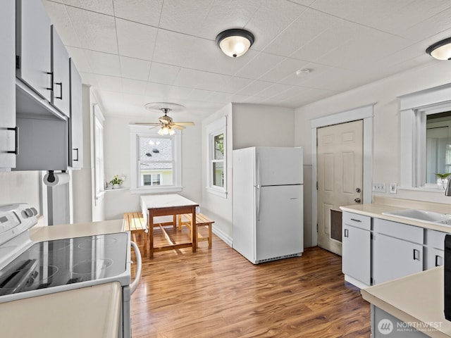 1310 Maple St, Everett, WA 98201 - photo 9