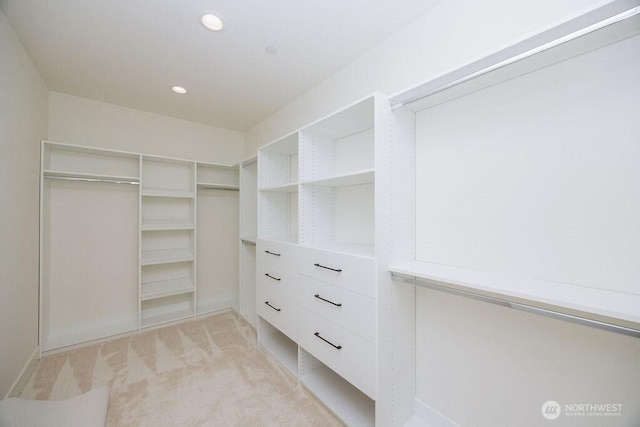 14737 56th Ave S, Tukwila, WA 98168 - walk in closet with light colored carpet
