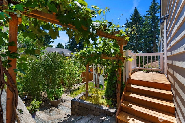 11432 11th Ave SW, Seattle, WA 98146 - view of yard