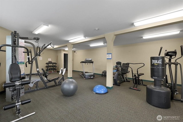 259 W Bakerview Rd Unit C102, Bellingham, WA 98226 - photo 28