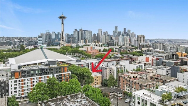 7 Harrison St Unit 5, Seattle, WA 98109 - skyline view