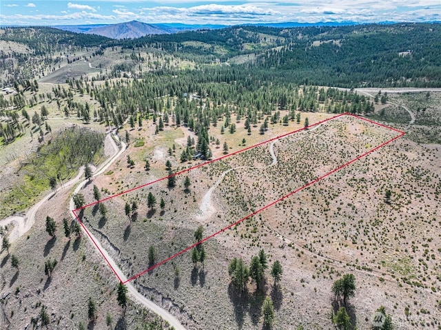 0 Evergreen Camp Rd, Chelan, WA 98816 - photo 3