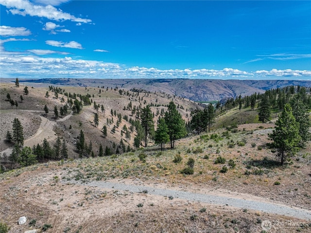 0 Evergreen Camp Rd, Chelan, WA 98816 - photo 4