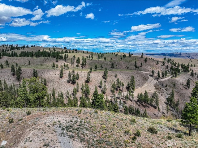0 Evergreen Camp Rd, Chelan, WA 98816 - photo 5
