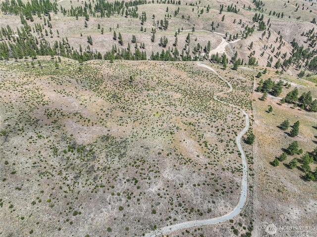0 Evergreen Camp Rd, Chelan, WA 98816 - photo 8