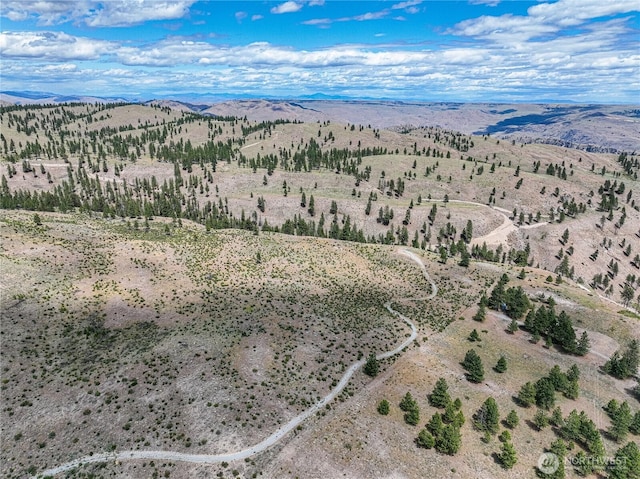 0 Evergreen Camp Rd, Chelan, WA 98816 - photo 10
