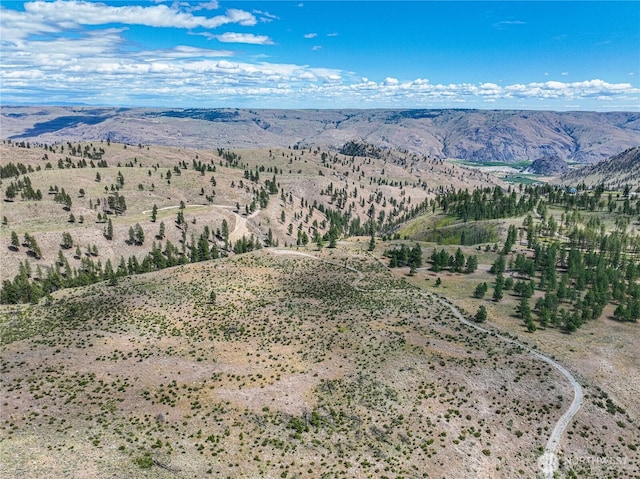 0 Evergreen Camp Rd, Chelan, WA 98816 - photo 11