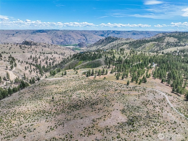 0 Evergreen Camp Rd, Chelan, WA 98816 - photo 12
