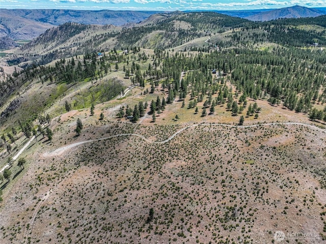 0 Evergreen Camp Rd, Chelan, WA 98816 - photo 13