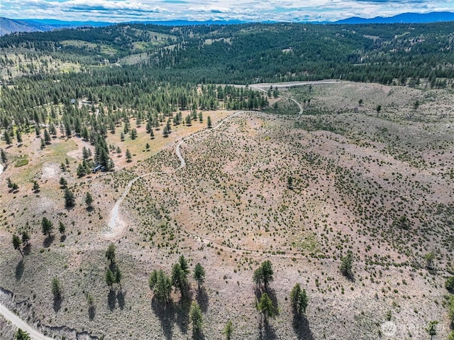 0 Evergreen Camp Rd, Chelan, WA 98816 - photo 14