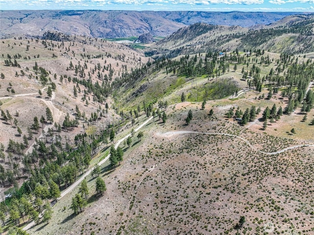 0 Evergreen Camp Rd, Chelan, WA 98816 - photo 15