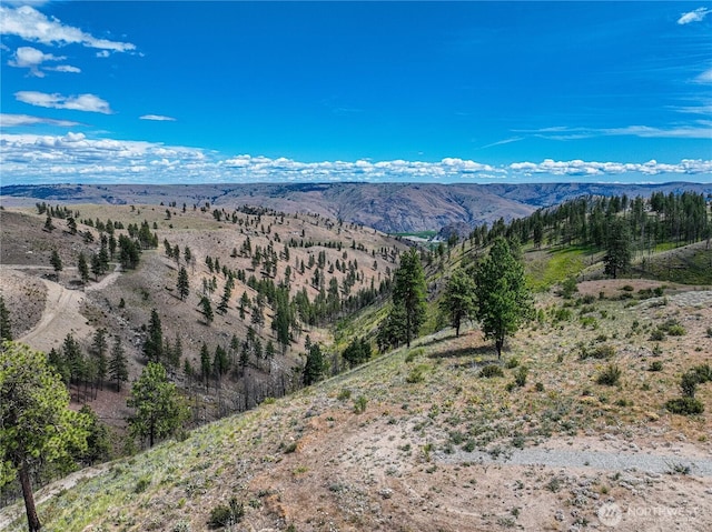 0 Evergreen Camp Rd, Chelan, WA 98816 - photo 16