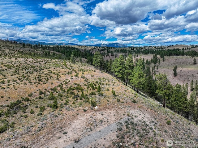 0 Evergreen Camp Rd, Chelan, WA 98816 - photo 17