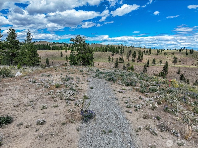 0 Evergreen Camp Rd, Chelan, WA 98816 - photo 19