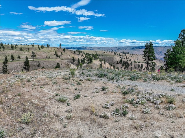 0 Evergreen Camp Rd, Chelan, WA 98816 - photo 20