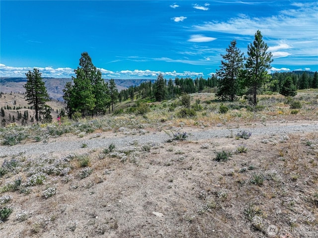 0 Evergreen Camp Rd, Chelan, WA 98816 - photo 21