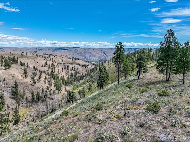 0 Evergreen Camp Rd, Chelan, WA 98816 - photo 22