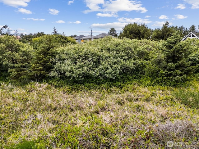 844 Point Brown Ave NE, Ocean Shores, WA 98569 - photo 10