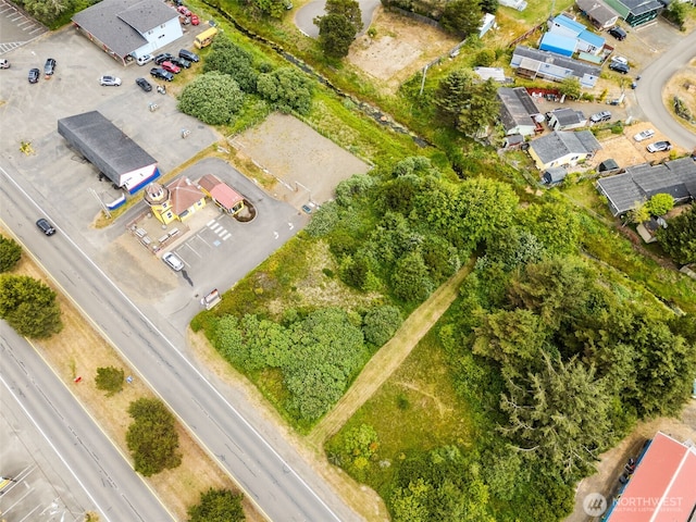 844 Point Brown Ave NE, Ocean Shores, WA 98569 - photo 11
