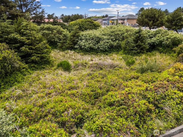 844 Point Brown Ave NE, Ocean Shores, WA 98569 - photo 16