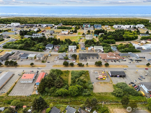 844 Point Brown Ave NE, Ocean Shores, WA 98569 - photo 18