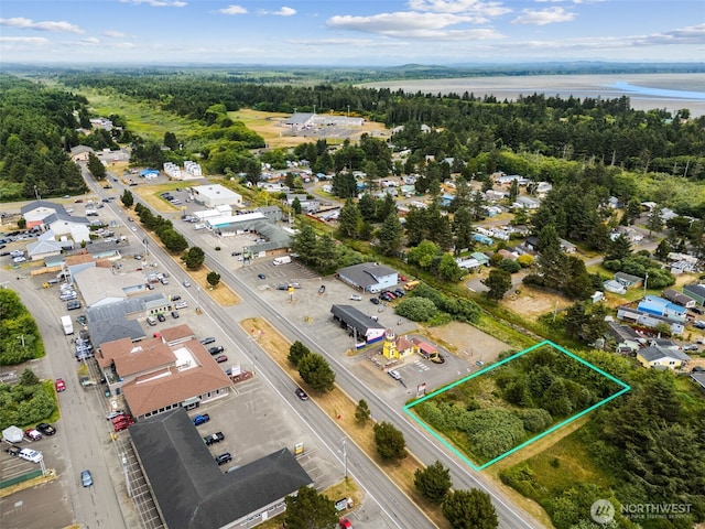 844 Point Brown Ave NE, Ocean Shores, WA 98569 - photo 19